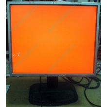Монитор 19" TFT HP 1955 (DVI в Нижневартовске, USB-хаб) "квадратный" (Нижневартовск)
