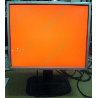 Монитор 19" TFT HP 1955 (DVI в Нижневартовске, USB-хаб) "квадратный" (Нижневартовск)