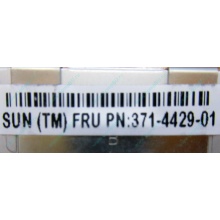 Серверная память SUN (FRU PN 371-4429-01) 4096Mb (4Gb) DDR3 ECC в Нижневартовске, память для сервера SUN FRU P/N 371-4429-01 (Нижневартовск)