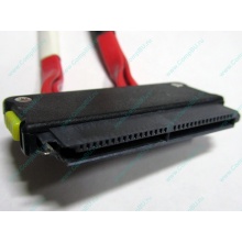 SATA-кабель для корзины HDD HP 451782-001 459190-001 для HP ML310 G5 (Нижневартовск)