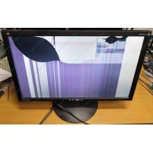 ViewSonic VA2413WM-2 разбитая матрица (Нижневартовск)