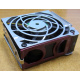 HP 224977 (224978-001) for Proliant ML370 G2/G3/G4 (Нижневартовск).