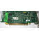 Видеокарта Dell ATI-102-B17002(B) зелёная 256Mb ATI HD2400 PCI-E (Нижневартовск)