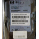 Жёсткий диск 146.8Gb HP 365695-008 404708-001 BD14689BB9 256716-B22 MAW3147NC 10000 rpm Ultra320 Wide SCSI купить в Нижневартовске, цена (Нижневартовск).