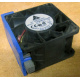 Вентилятор TFB0612GHE для корпусов Intel SR2300 / SR2400 (Нижневартовск)