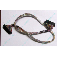 6017B0045301 в Нижневартовске, 68pin SCSI кабель 26.5" / 57cm для корзины HDD Intel SR2400 (Нижневартовск)